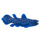 Mojo Sealife Coelacanth - 381050 381050