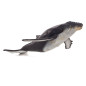 Mojo Sealife Humpback Whale Large 387277 387277