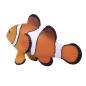 Mojo Farmland Clownfish - 387090 387090