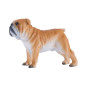 Mojo Farmland English Bulldog - 381053 381053