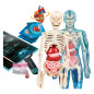 Clementoni Science and Play - Super Anatomy 56173