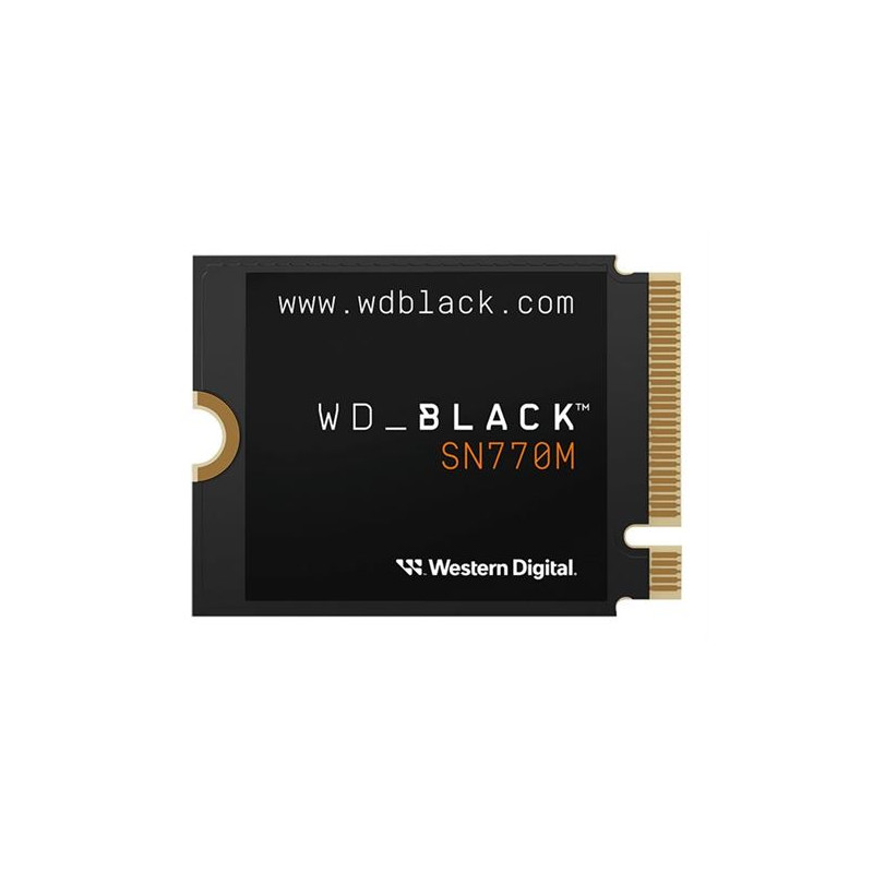 Disque SSD Interne WD_BLACK SN770M 500 Go Noir