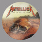 Reunion Arena Dallas Texas 5th February 1989 Picture Disc