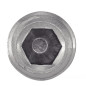 Vis à métaux sans tête hexagonale creuse bout pointeau inox A2 ISO 4027 6X6 boîte de 100 ACTON 622056X6