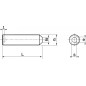 Vis à métaux sans tête hexagonale creuse bout pointeau inox A2 ISO 4027 6X6 boîte de 100 ACTON 622056X6