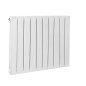 Radiateur à eau chaude FASSANE PREM S double à élément horizontal 1239W ACOVA SHXD 070 104