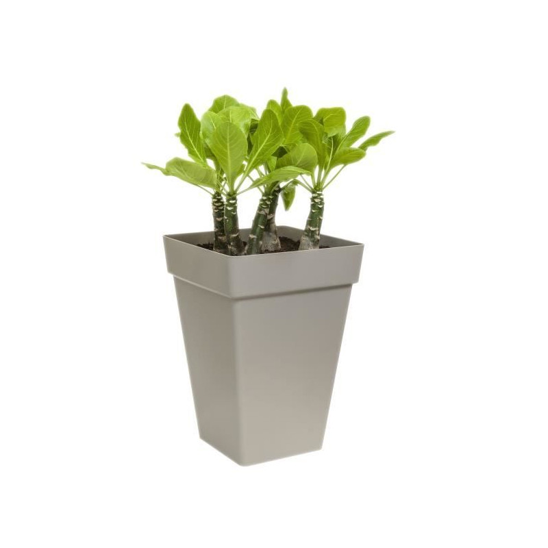 ELHO Bac a plantes carrée haut - 37 cm - Blanc