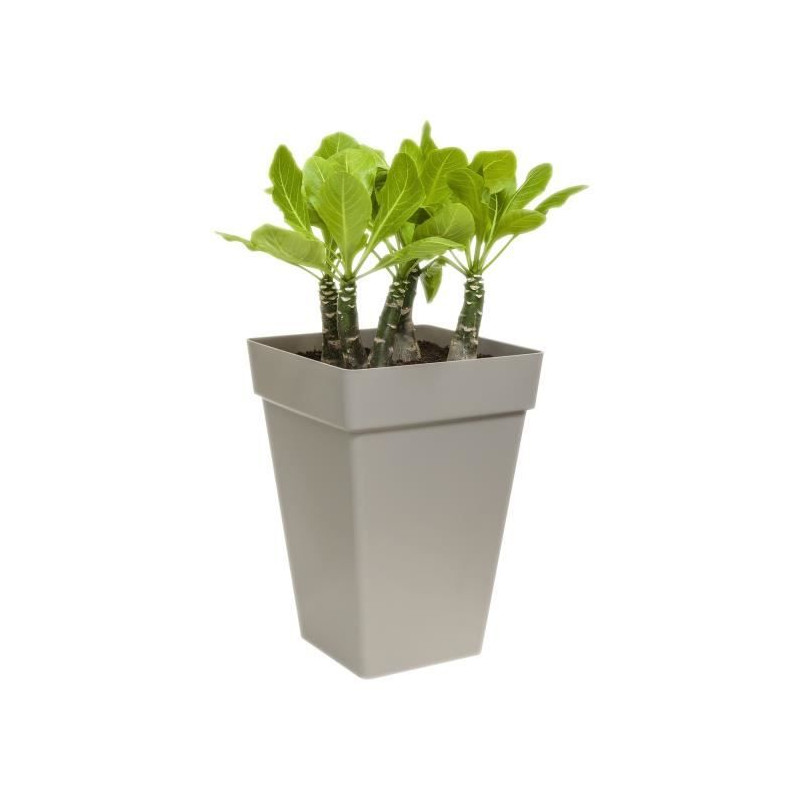 ELHO Bac a plantes carrée haut - 37 cm - Gris anthracite