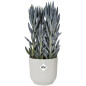 ELHO Vibes Fold Pot de fleurs rond 30 - Blanc - Ø 30 x H 27 cm - intérieur - 100% recyclé