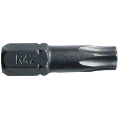 RISS EMBOUT TORX T20 L.25MM FORGE  BL3 RISS - 9550P002000