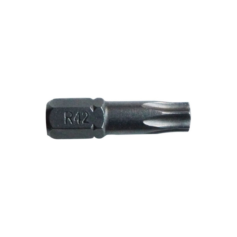 EMBOUT TORX T20 L.25MM FORGE  BL3 RISS - 9550P002000