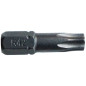 EMBOUT TORX T20 L.25MM FORGE  BL3 RISS - 9550P002000