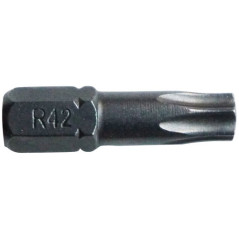 RISS EMBOUT TORX T30 L.25MM FORGE  BL3 RISS - 9550P003000