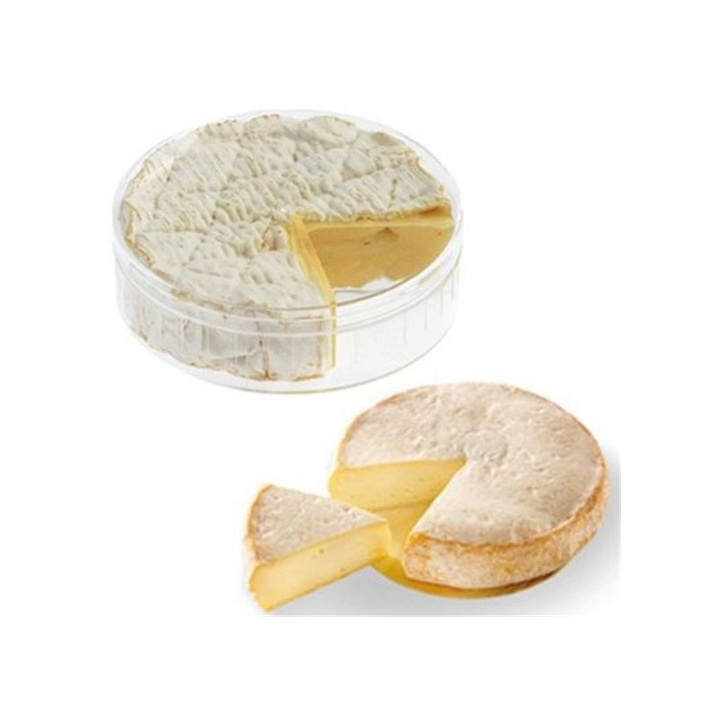 BOITE A CAMEMBERT 11.50CM ACRYL TELLIER - N3509-CA