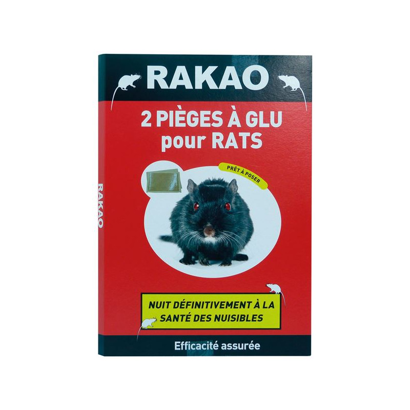 RAKAO GLU ANTI RATS RAKAO PLAQUE X2 /NC RAKAO - RAG_V2