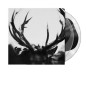 Ihsahn Vinyle Coloré