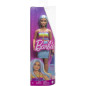 FASHIONISTA TENUE ARC-EN-CIEL - BARBIE - HRH16 - POUPEE MANNEQUIN BARBIE