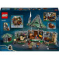 LEGO Harry Potter 76428 La Cabane de Hagrid : une Visite Inattendue, Jouet Fantastique