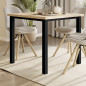 Emuca 2047114 Pieds carrés et cadre de table, 50x50mm, 750x750mm, Acier, Peint en noir