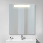 Emuca 5148120 Miroir de salle de bain Pegasus avec éclairage frontal LED, rectangular 600 x 700 mm, AC 230V 50Hz, 6 W, Aluminiu