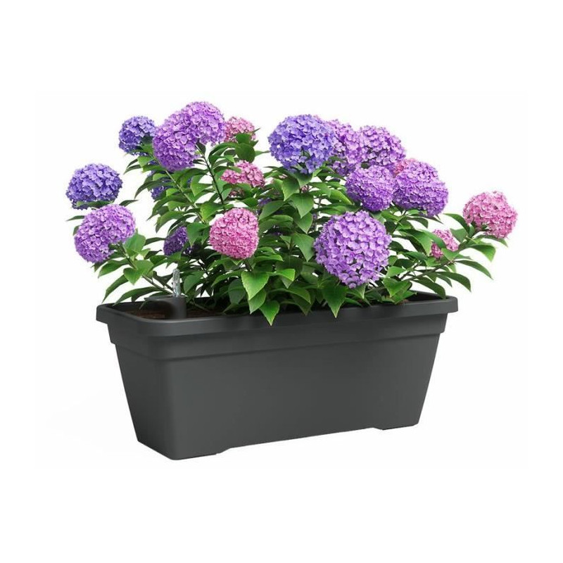 Jardiniere - Plastique - Anthracite - Rectangulaire - L57,9 x P24,3 x H22cm - ARTEVASI