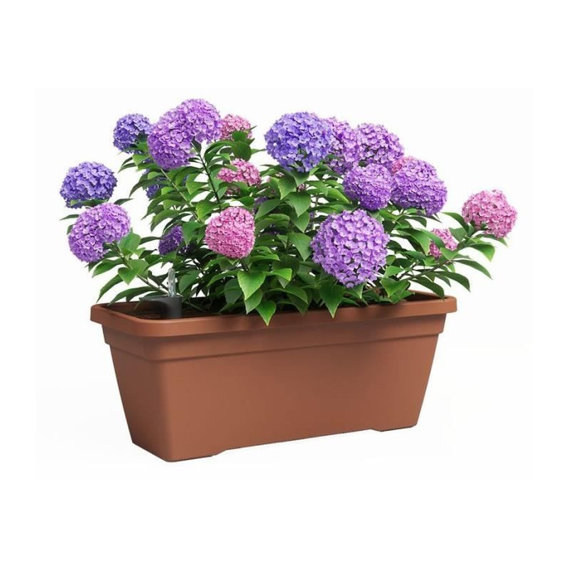 Jardiniere - Plastique - Terre cuite - Rectangulaire - L57,9 x P24,3 x H22cm - ARTEVASI