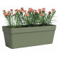 Jardiniere - Plastique - Vert Cendre� - Rectangulaire - L49,9 x P20 x H18,1cm - ARTEVASI