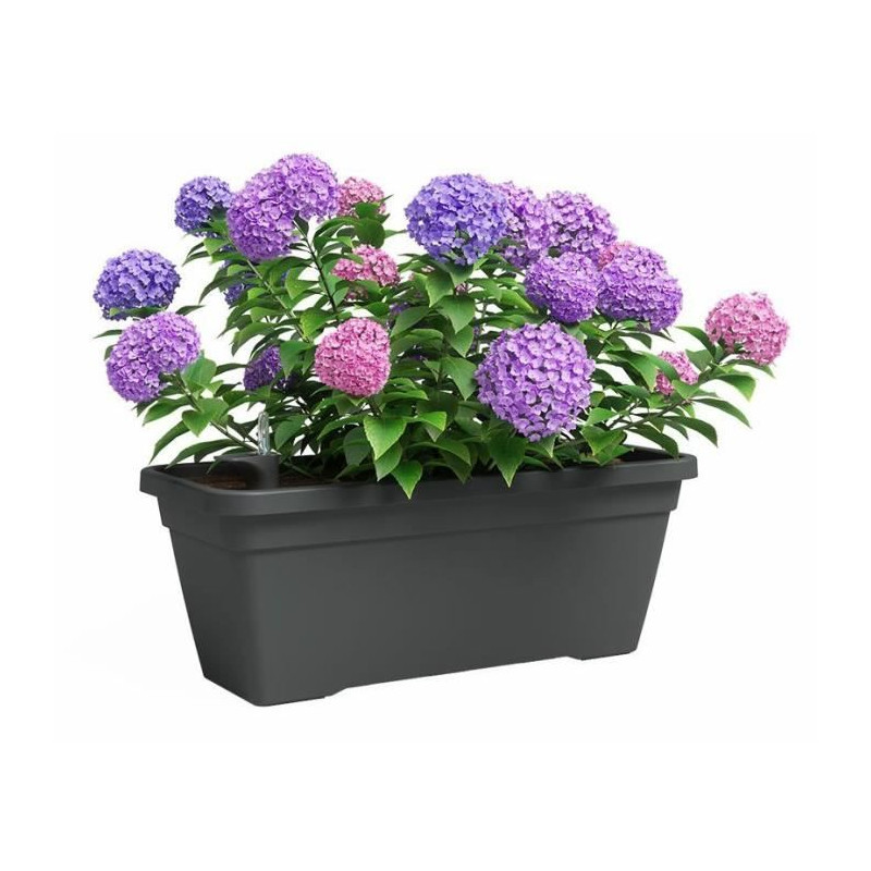 Jardiniere - Plastique - Anthracite - Rectangulaire - L77,9 x P24 x H22cm - ARTEVASI