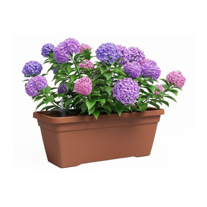 Jardiniere - Plastique - Terre cuite - Rectangulaire - L77,9 x P24 x H22cm - ARTEVASI