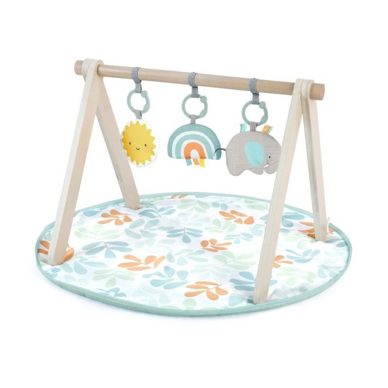 ITY de INGENUITY Sun Valley tapis d'éveil avec arche de jeu en bois, 3 jouets amovibles, pliable, des la naissance