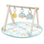 ITY de INGENUITY Sun Valley tapis d'éveil avec arche de jeu en bois, 3 jouets amovibles, pliable, des la naissance