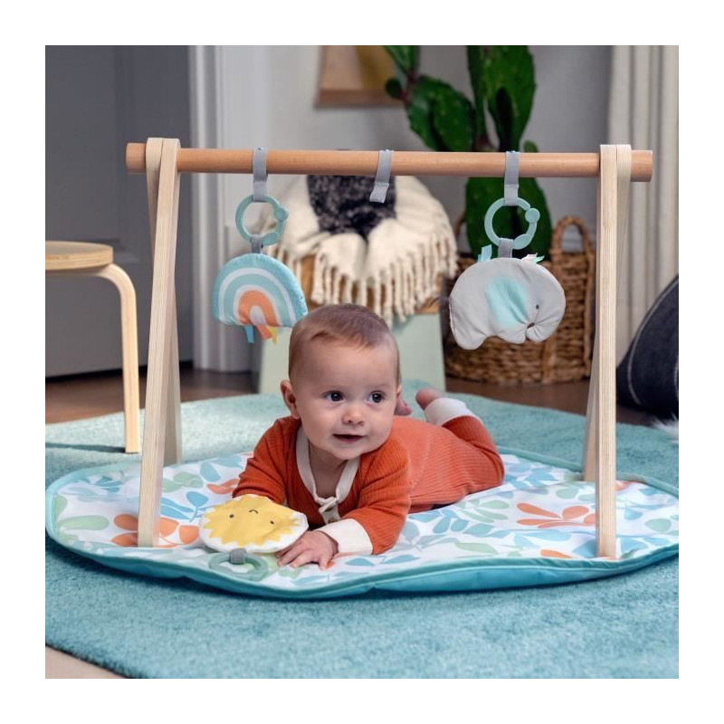 ITY de INGENUITY Sun Valley tapis d'éveil avec arche de jeu en bois, 3 jouets amovibles, pliable, des la naissance