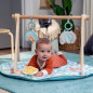 ITY de INGENUITY Sun Valley tapis d'éveil avec arche de jeu en bois, 3 jouets amovibles, pliable, des la naissance