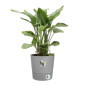 ELHO - Pot de fleurs - Greensense Aqua Care Rond 43 - Ciment Clair - Intérieur/extérieur - Ø 43 x H 42.5 cm