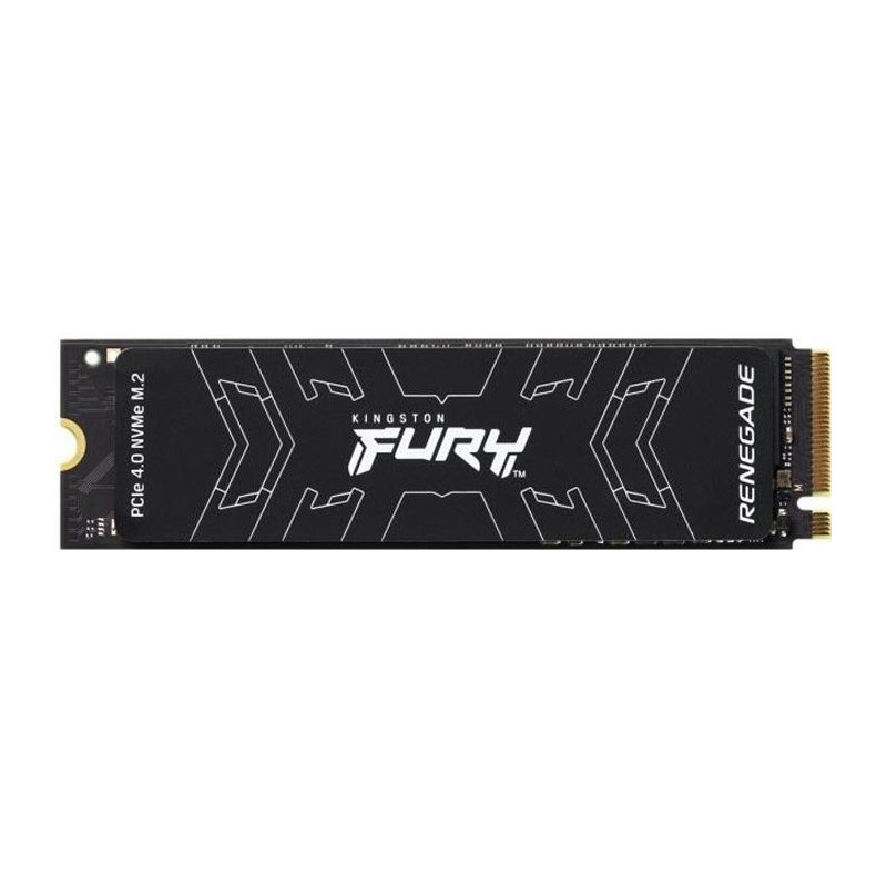 KINGSTON - SSD Interne - FURY Renegade - 1To - M.2 NVMe (SFYRS/1000G)