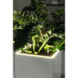 Pot de fleur LECHUZA Canto Premium Colonne 40 - kit complet LED, argent métallisé