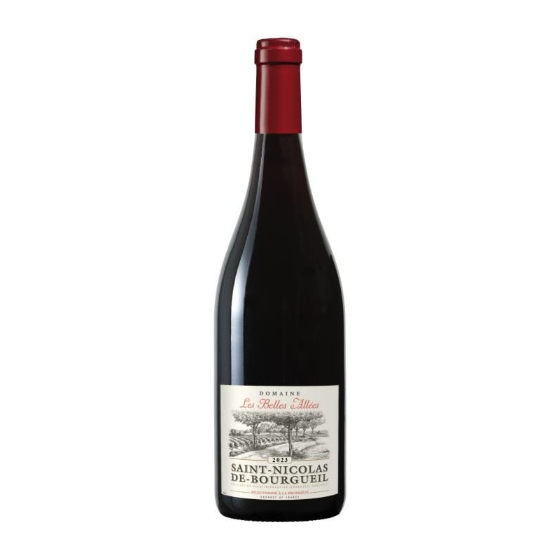 Domaine Les Belles Allées 2021 Saint-Nicolas de Bourgueil - Vin rouge de la Val de Loire