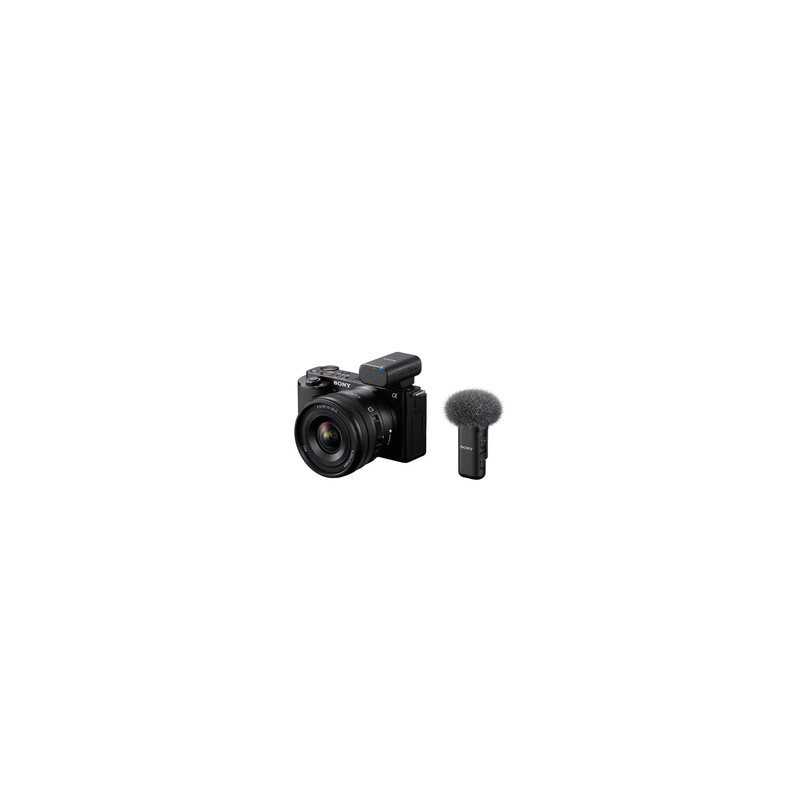 Accessoires photo Sony ECM W3S Micro sans Fil Digital1 Canal