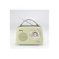 Radio Halterrego Enceinte Radio retro RMS 5W, Bluetooth, Radio FM, lecteur USB, Aux IN, Batterie rechargeable, vert olive