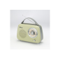 Radio Halterrego Enceinte Radio retro RMS 5W, Bluetooth, Radio FM, lecteur USB, Aux IN, Batterie rechargeable, vert olive