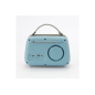 Radio Halterrego Enceinte Radio retro RMS 5W, Bluetooth, Radio FM, lecteur USB, Aux IN, Batterie rechargeable, Bleu gris