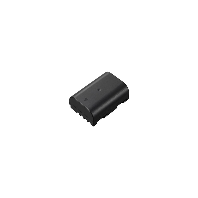 Batterie appareil photo Panasonic DMW BLF19 pour GH5, G9