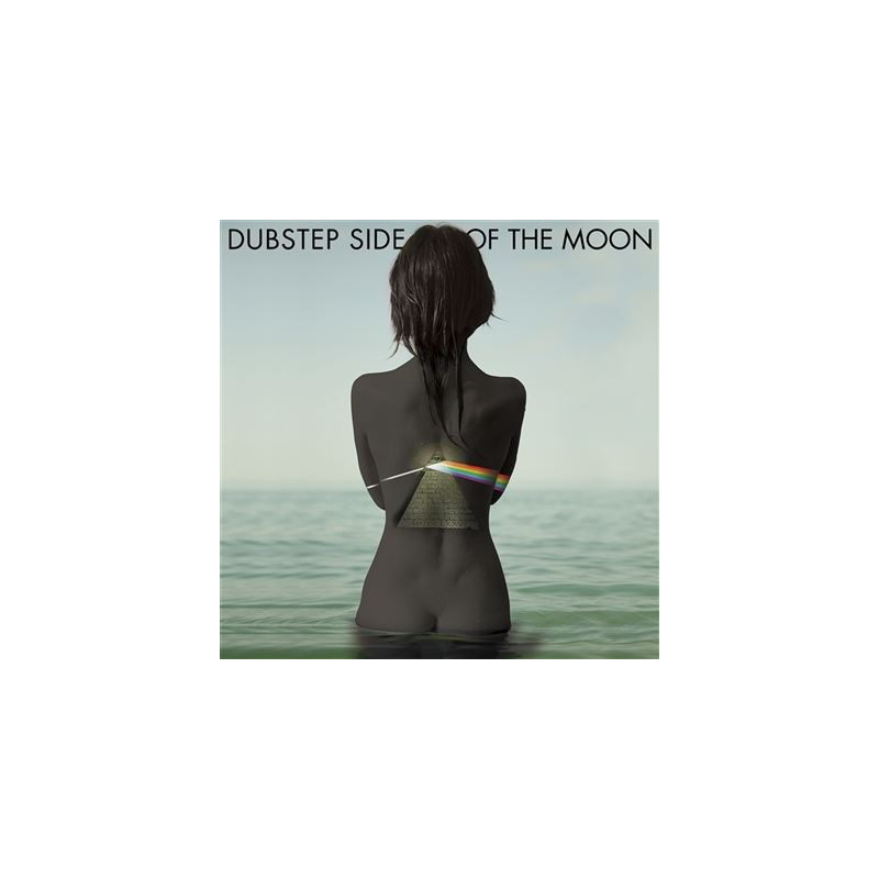 Dubstep Side Of The Moon Vinyle Coloré