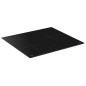 Plaque de cuisson induction BRANDT - 3 Foyers - 6x59x52 cm - TI321B