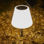 Lampe de table solaire 2 en 1 a planter ou a poser - LUMISKY - BOUFFANT - H62 cm - LED blanc dimmable