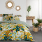 Parure de lit - TODAY - Sunshine - 115519 - 2 personnes - 260x240cm - Coton - Imprimé 8.54