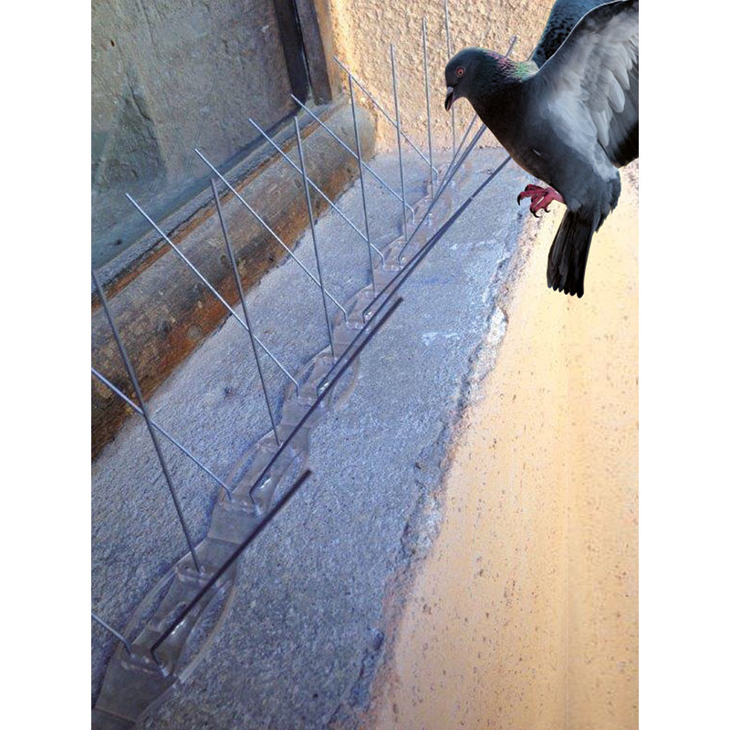 Pics anti oiseaux BIRD GUARD 2 contre les pigeons DALEP 603015