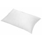 TOISON D'OR - Oreiller - Pollux - Confort ferme - 50x70cm - Blanc