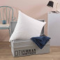 TOISON D'OR - Oreiller - Pollux - Confort ferme - 65x65cm - Blanc