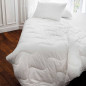 TOISON D'OR - Oreiller - Harmonie - Confort médium - 60x60 cm - Blanc